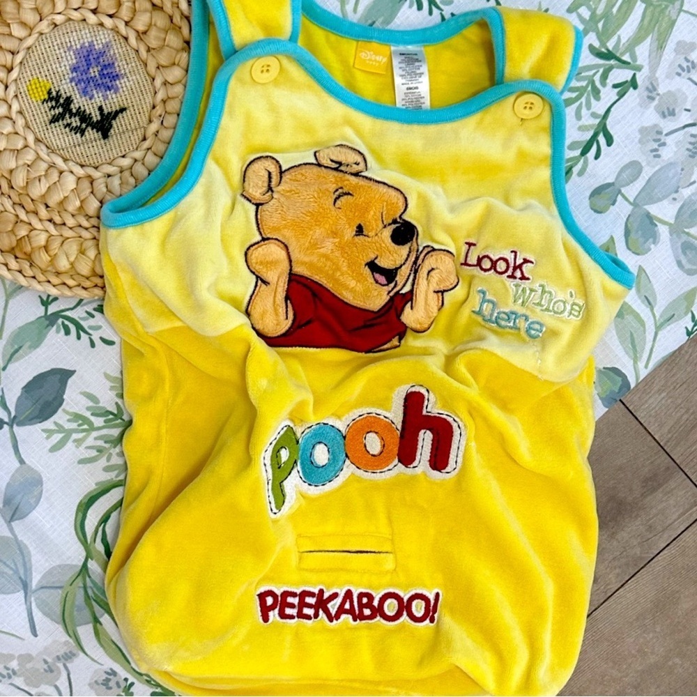 RARE Disney Winnie Pooh Baby Sleep Sack Bunting Bag 0-6 Months Baby Boy or Girl
